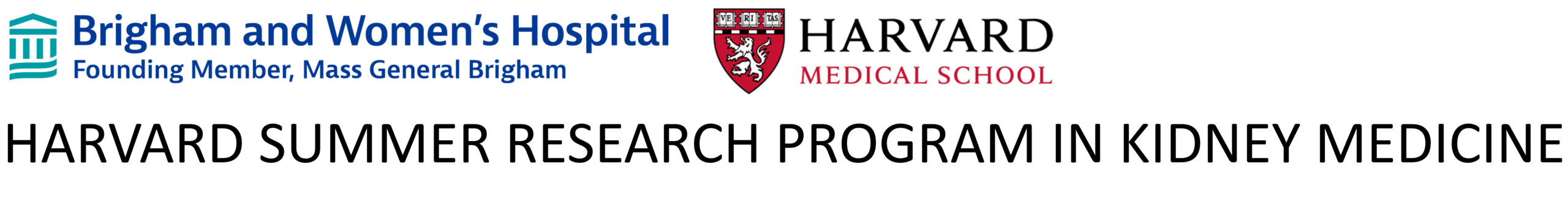Harvard Summer Research Program in Kidney Medicine