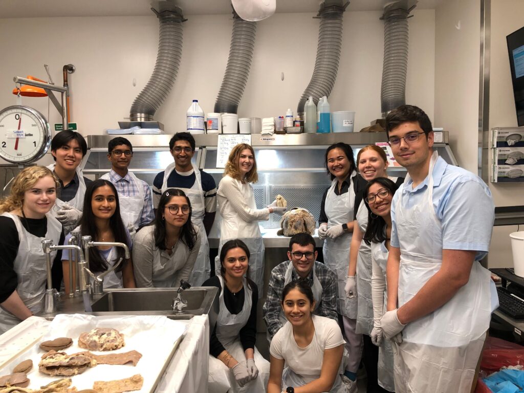 harvard summer research medical students